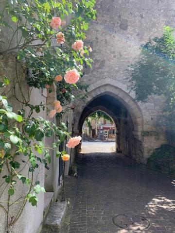Maison Jeanne D'Arc Mennetou-sur-Cher エクステリア 写真